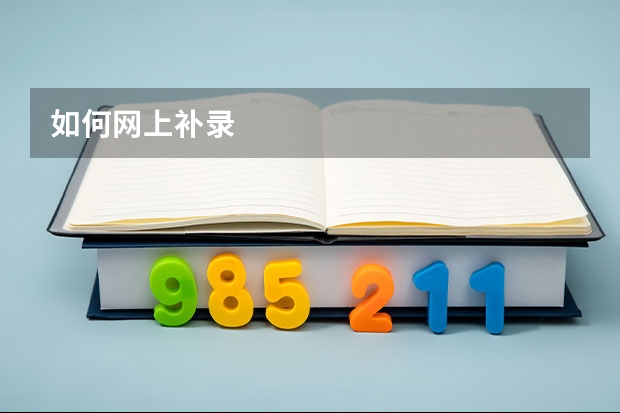 如何网上补录