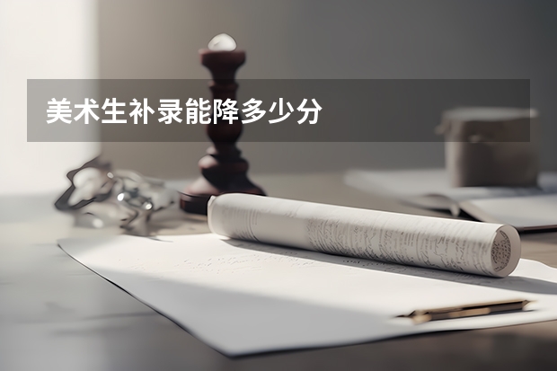 美术生补录能降多少分