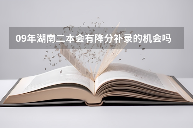 09年湖南二本会有降分补录的机会吗？ 我是美术生。