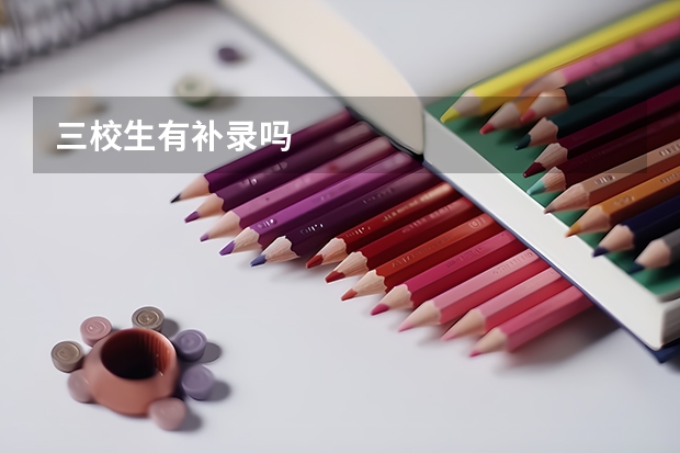 三校生有补录吗