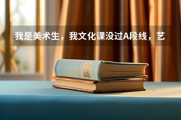我是美术生，我文化课没过A段线，艺术过了，填志愿有必要填A段院校吗