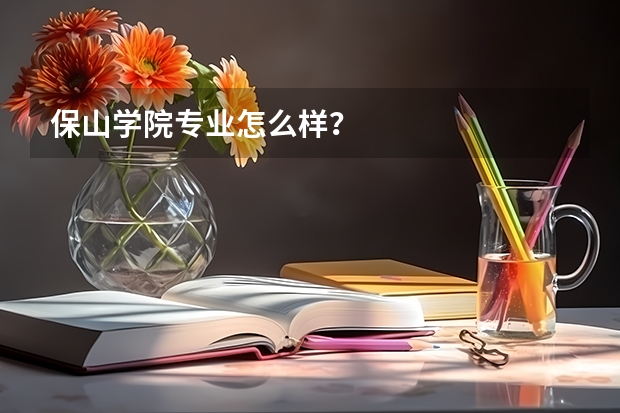 保山学院专业怎么样?