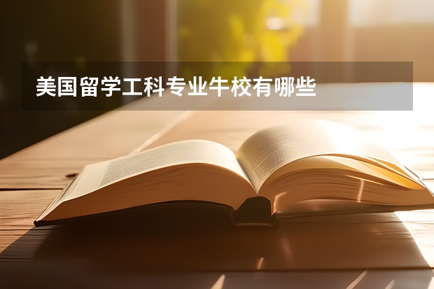美国留学工科专业牛校有哪些