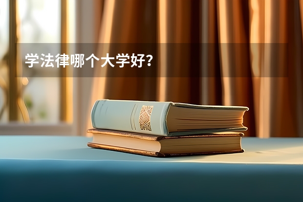 学法律哪个大学好？