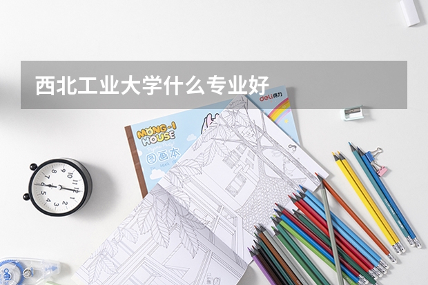 西北工业大学什么专业好